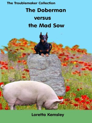 cover image of Hans and the Mad Sow